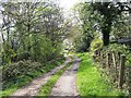 Road from Pound Green Common to Pound Green