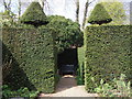 Topiary at Fenton House