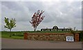 Asparagus for sale at Rutland Water Golf Club