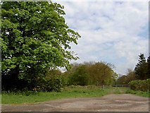 SK9113 : Entrance to Cottesmore Wood by Steve  Fareham