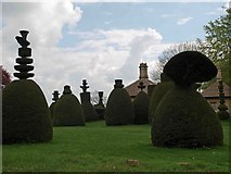 SK9816 : Fantastic topiary at Clipsham yew tree avenue by Steve  Fareham