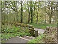 A footpath from the Trans Pennine Trail