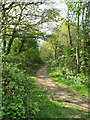 Path along dismantled railway