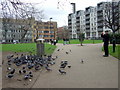 TQ3481 : Pigeons in the park by Natasha Ceridwen de Chroustchoff
