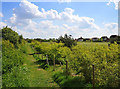 Footpath near Great Denham golf course