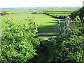 Stile on Furze Hill