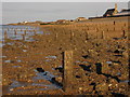 Groynes on Sheerness Beach