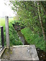 SJ8189 : Baguley Brook in Wythenshawe Park by Eirian Evans