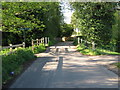 Stour Valley Walk crosses Bucksford Lane