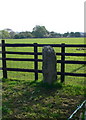 Standing stone near Llanrug