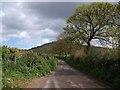 Lane to Triscombe