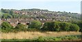 Caerleon from the railway