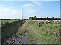 Bridleway off Warley Common