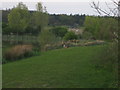 Fishing Lake, Woodlands Farm Fishery