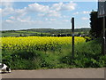 Footpath on Top Dartford Road