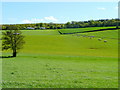 Pastoral scene near Hope Mansell