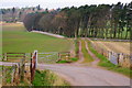 Strip of Trees and Wall leading to Carsegray