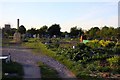 Allotments on Broadway in Didcot