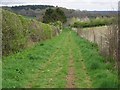 Bridleway near Whitsbury