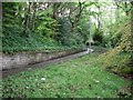 Pathway through woods near Mount Vernon Station