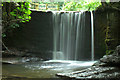 Waterfall, Bersham Woods