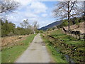 Bargaly Glen Track