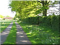 Footpath and road to Upper Woodhouse Farm