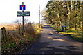 Road leading to Meikle Cossans