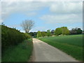 Track to Westfield Farm