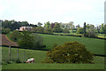 Cullompton: Hillersdon House