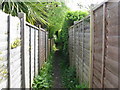 Narrow footpath between fences