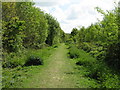 Looking east along footpath in Marlpost Wood