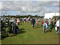 Ashley Heath, car boot sale