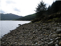 NS0785 : Loch Tarsan shoreline by John Ferguson