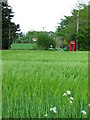 Wingfield Telephone Box