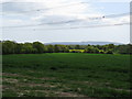 View from top of wheat field