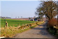 Road leading to Mains of Brigton