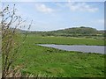 Wetlands of the Axe estuary