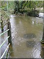 Flooding across the public footpath near Dolgellau