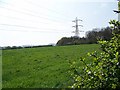 Footpath, Brokerswood