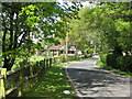 Cottage among the trees