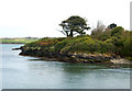 Foreshore near the Camel Trail