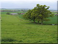 Footpath to Wescott