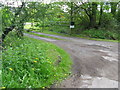 Track to Duckmoor Farmhouse