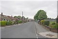 Springbank Road - viewed from Springbank Avenue