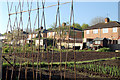 Allotments on Clifton Road