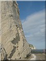 TR2538 : The Chalk Cliffs of East Wear Bay by David Anstiss
