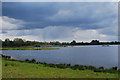 SU1508 : Blashford Lakes by william