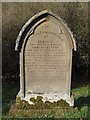 NY7852 : The gravestone of Frances Ritson (d.1870) by Mike Quinn