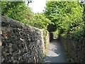 Fife coastal path